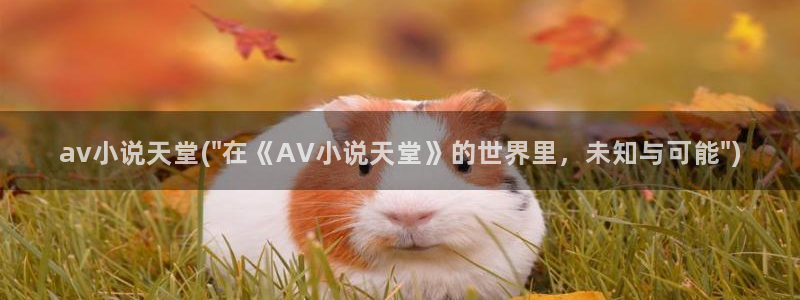 泷泽萝拉AV在线观看