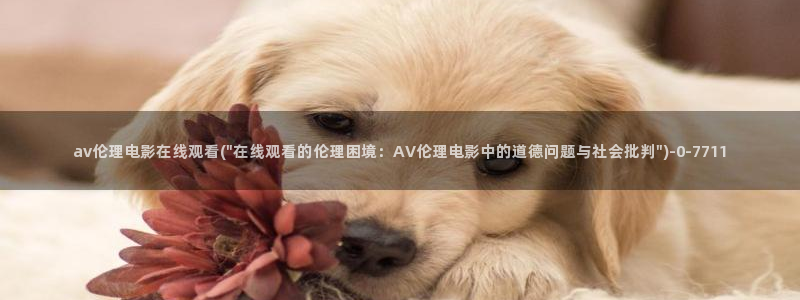 av2019天堂网