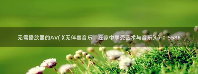 AV在线观看的网站