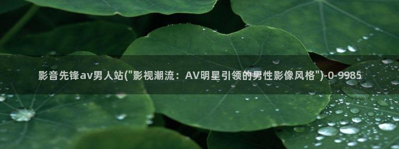 Av种子链接