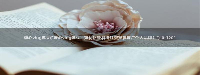 糖心vlog高清免费：糖心vlog麻豆(\
