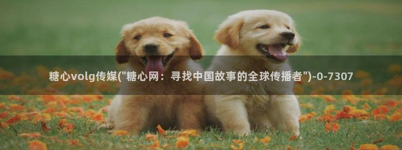 糖心vlog是哪里的：糖心volg传媒(\