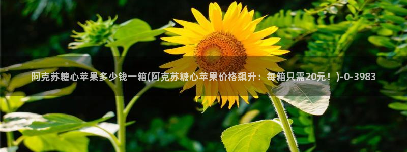 糖心官网免费进入vlog：阿克苏糖心苹果多少钱一箱(阿克苏糖