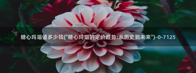 糖心出品vlog一区二区