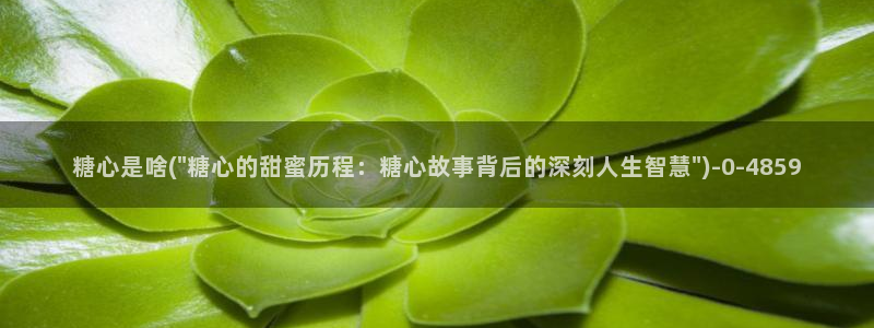 糖心官方vlog