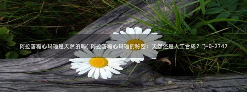 糖心vlog官网在线观看