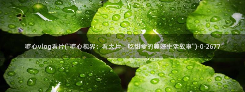 糖心vlog怎么获得免费的vip