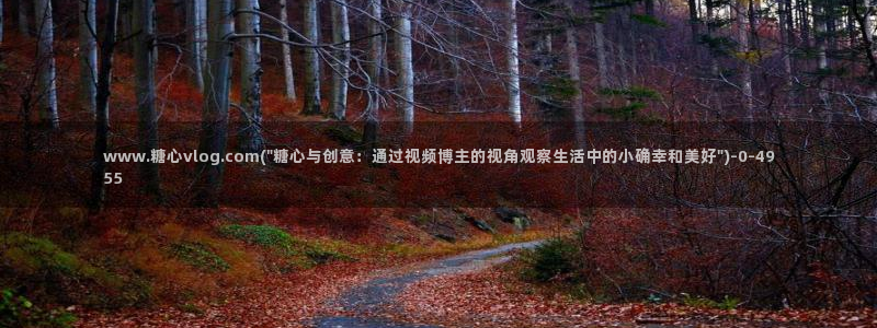 糖心vlog是一个怎么样的app