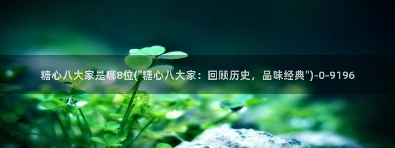 糖心vlog在线看