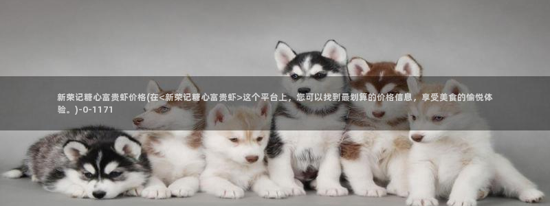 糖心vlog二代cc
