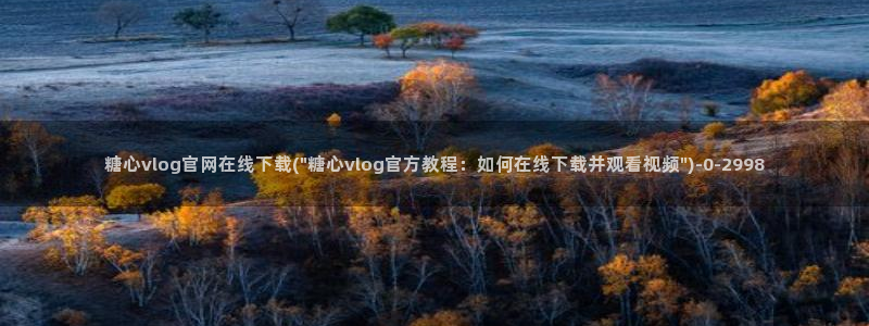 糖心vlog看片