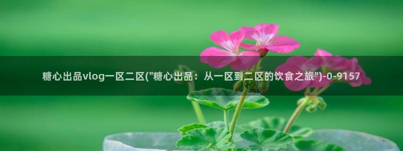 糖心vlog最新一集